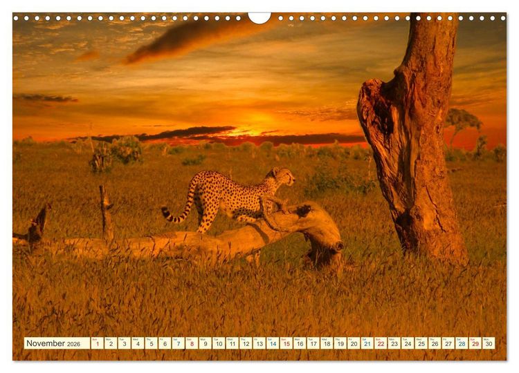 Produktbild: Fantastic Kenya (Wall Calendar 2026 DIN A3 landscape), CALVENDO 12 Month Wall Calendar