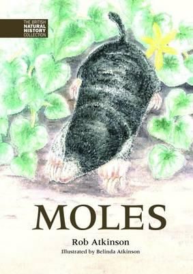 Produktbild: Moles