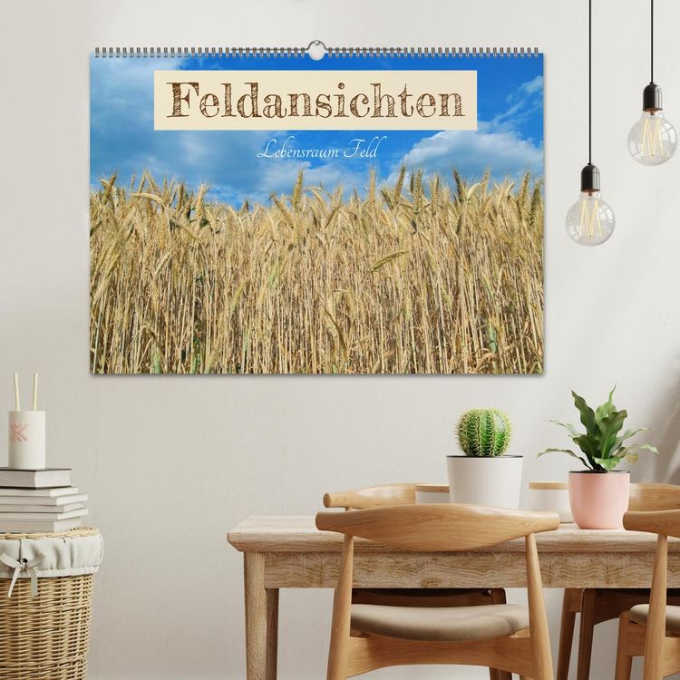 Produktbild: Feldansichten (Wandkalender 2026 DIN A2 quer), CALVENDO Monatskalender