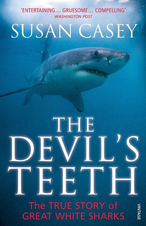 Produktbild: The Devils Teeth