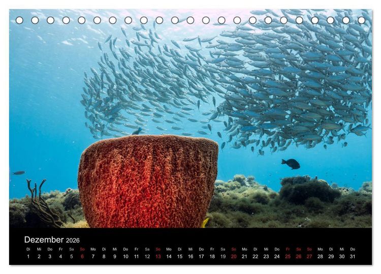 Produktbild: Tanz der Fische (Tischkalender 2026 DIN A5 quer), CALVENDO Monatskalender