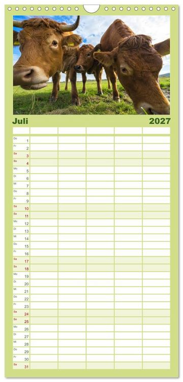 Produktbild: Familienplaner 2027 - Kuhckst du? mit 5 Spalten (Wandkalender, 21 x 45 cm) CALVENDO