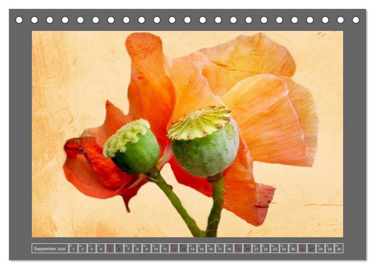 Produktbild: Blumen f&uuml;r dich (Tischkalender 2026 DIN A5 quer), CALVENDO Monatskalender