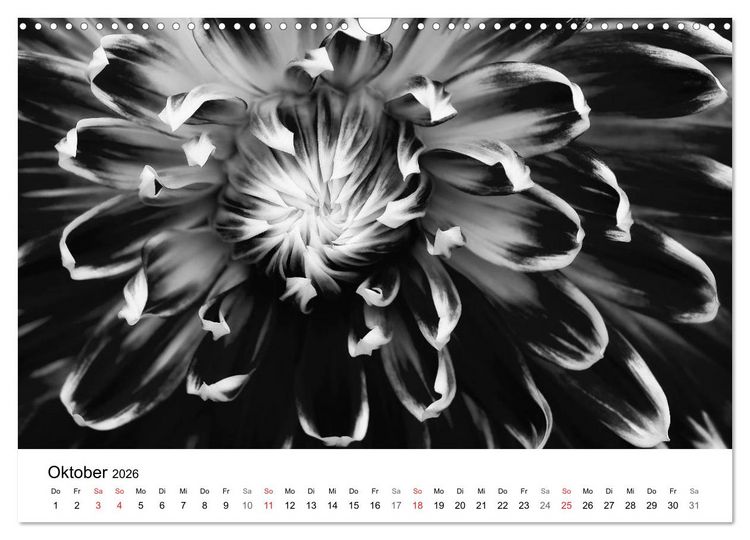 Produktbild: Blumen 2026, Schwarz-Wei&szlig; (Wandkalender 2026 DIN A3 quer), CALVENDO Monatskalender