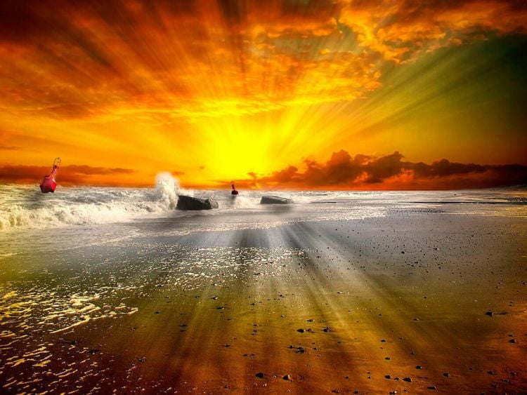 Produktbild: CALVENDO Puzzle Ein Motiv aus dem Kalender Friesland - verzauberte BIlder einer Landschaft an der Nordsee | 1000 Teile Lege-Gr&ouml;&szlig;e 64x48cm Foto-Puzzle f&uuml;r gl&uuml;ckliche Stunden