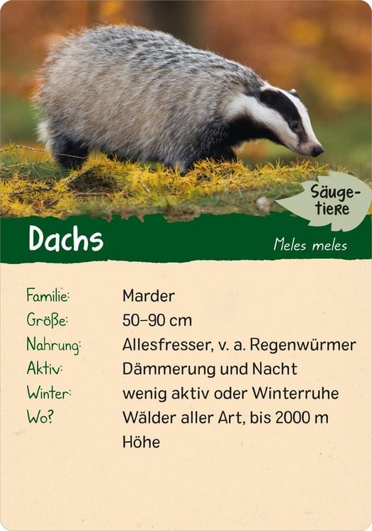 Produktbild: Naturforscher-Kids &ndash; Wald