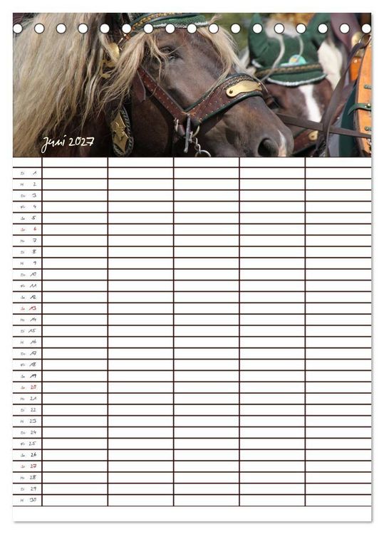 Produktbild: Der Kaltblut-Familienplaner (Tischkalender 2027 DIN A5 hoch), CALVENDO Monatskalender