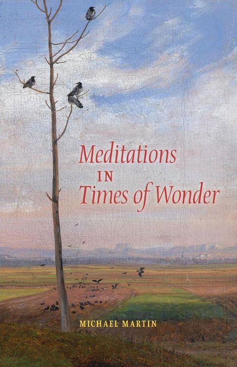 Produktbild: Meditations in Times of Wonder