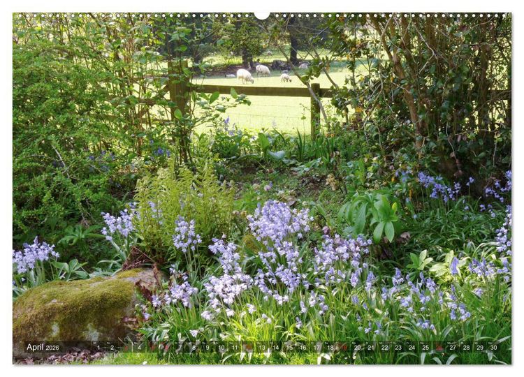 Produktbild: Malerische Cotswolds (Wandkalender 2026 DIN A2 quer), CALVENDO Monatskalender