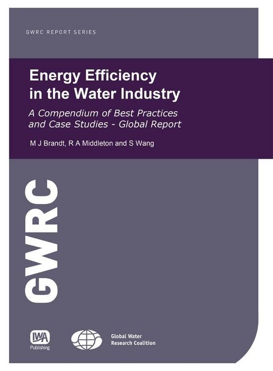 Produktbild: Energy Efficiency in the Water Industry