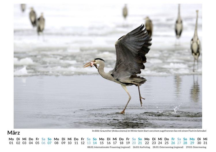 Produktbild: Tiere im Schnee