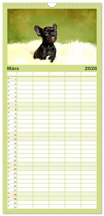 Produktbild: Familienplaner 2026 - Franz&ouml;sische Bulldoggen mit 5 Spalten (Wandkalender, 21 x 45 cm) CALVENDO