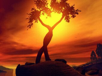 Produktbild: CALVENDO Puzzle Growing Love | 1000 Teile Lege-Gr&ouml;&szlig;e 64x48cm Foto-Puzzle f&uuml;r gl&uuml;ckliche Stunden