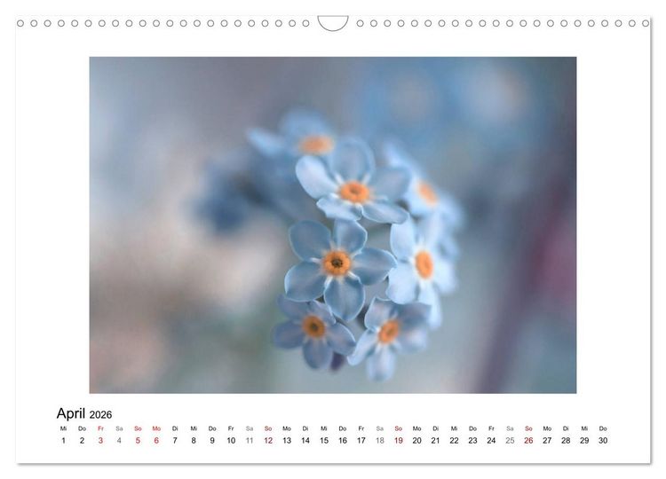 Produktbild: Blauer Bl&uuml;tentraum (Wandkalender 2026 DIN A3 quer), CALVENDO Monatskalender