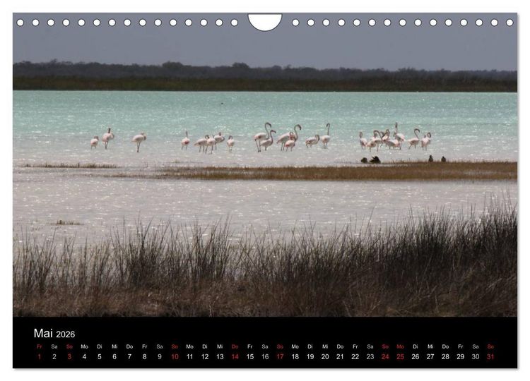Produktbild: Abenteuer Madagaskar (Wandkalender 2026 DIN A4 quer), CALVENDO Monatskalender