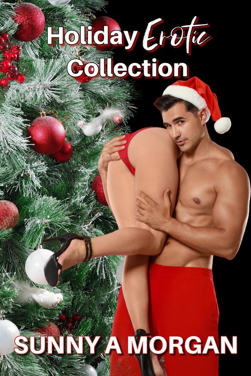 Produktbild: Holiday Erotica Collection