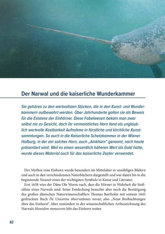 Produktbild: Der Rabe und der schlechte Leumund
