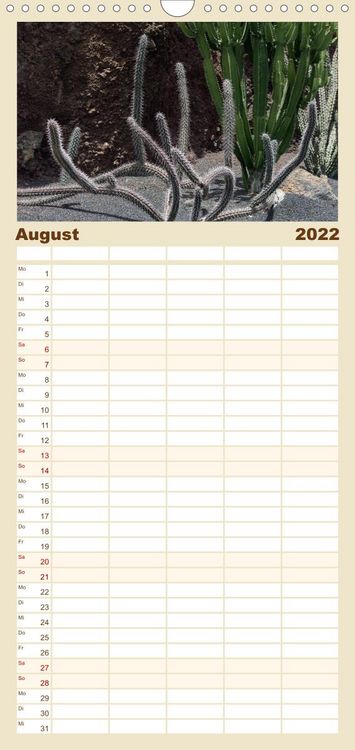 Produktbild: Familienplaner Faszination Kakteen (Wandkalender 2022 , 21 cm x 45 cm, hoch)