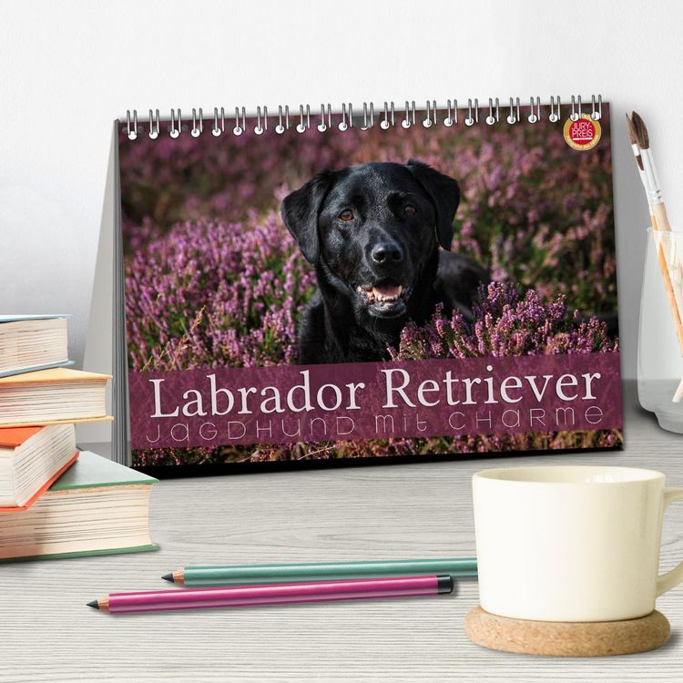 Produktbild: Labrador Retriever - Jagdhund mit Charme (Tischkalender 2026 DIN A5 quer), CALVENDO Monatskalender