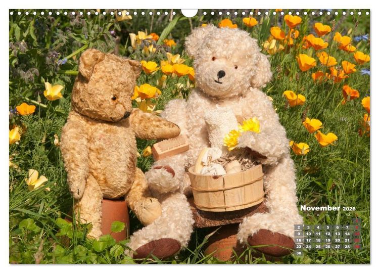 Produktbild: Geliebte B&auml;ren - Teddys (Wandkalender 2026 DIN A3 quer), CALVENDO Monatskalender