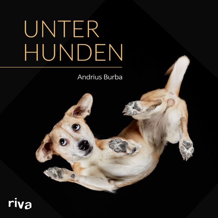 Produktbild: Unter Hunden