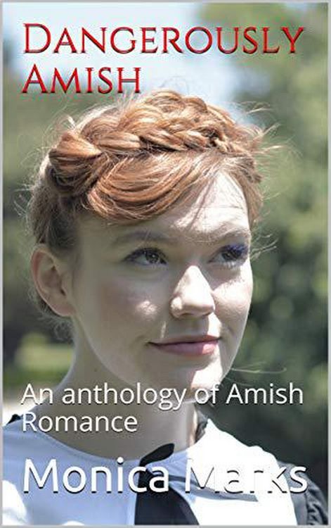 Produktbild: Dangerously Amish An Anthology of Amish Romance