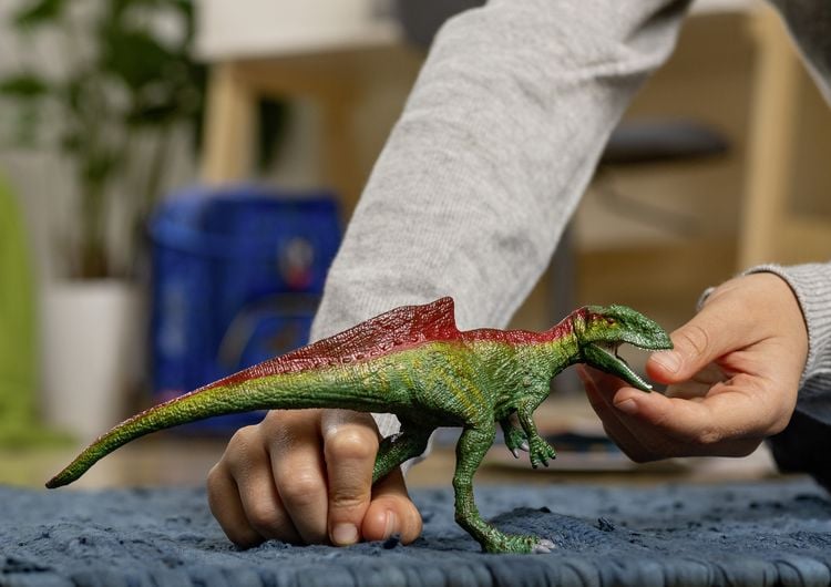 Produktbild: schleich&reg; 15041 Concavenator