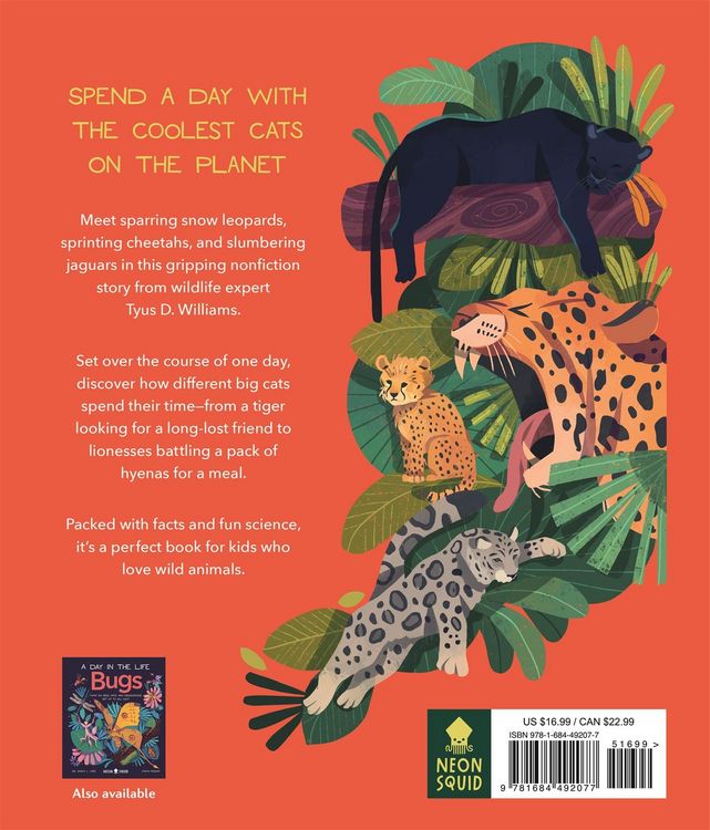 Produktbild: Big Cats (a Day in the Life)