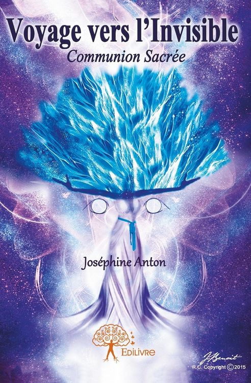 Produktbild: Voyage vers l invisible