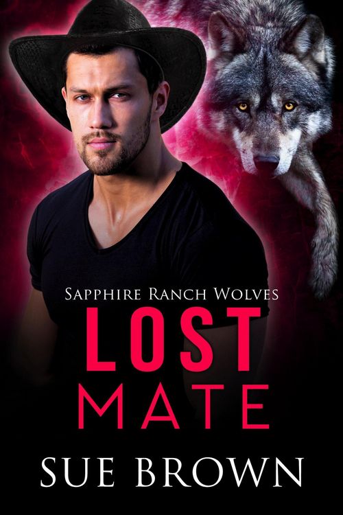 Produktbild: Lost Mate (Sapphire Ranch Wolves, #4)
