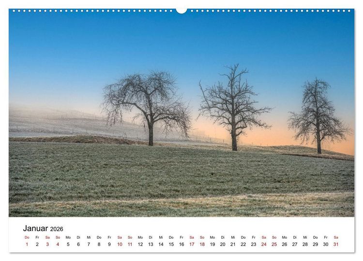 Produktbild: B&auml;ume - Wunder der Natur (hochwertiger Premium Wandkalender 2026 DIN A2 quer), Kunstdruck in Hochglanz