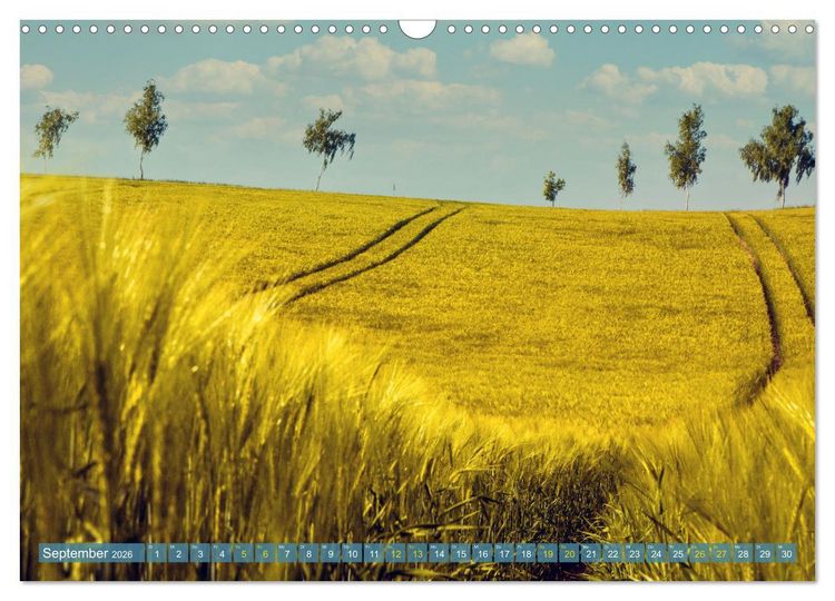 Produktbild: Buschvitz - Geografischer Mittelpunkt der Insel R&uuml;gen (Wandkalender 2026 DIN A3 quer), CALVENDO Monatskalender