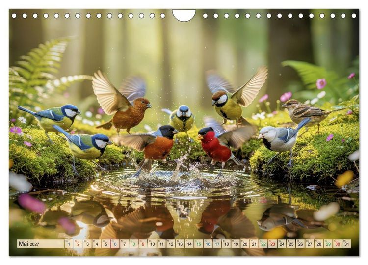 Produktbild: Farbenfrohe Singv&ouml;gel beim Baden (Wandkalender 2027 DIN A4 quer), CALVENDO Monatskalender