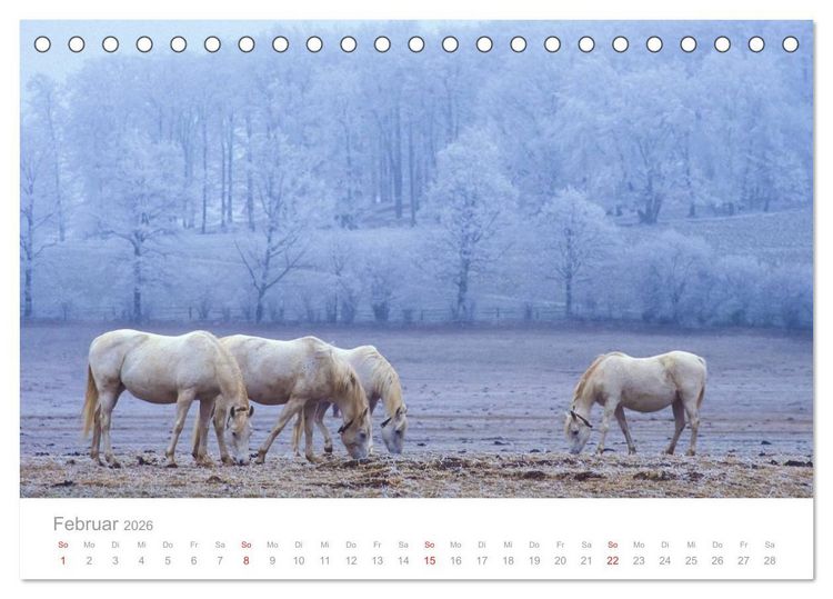 Produktbild: SCHW&Auml;BISCHE ALB W.Dieterich (Tischkalender 2026 DIN A5 quer), CALVENDO Monatskalender
