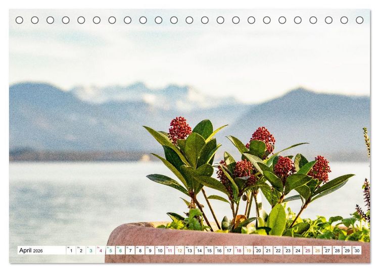 Produktbild: Natur hautnah Kalender (Tischkalender 2026 DIN A5 quer), CALVENDO Monatskalender