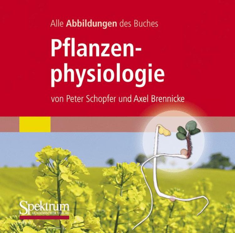 Produktbild: Alle Grafiken des Lehrbuchs Pflanzenphysiologie