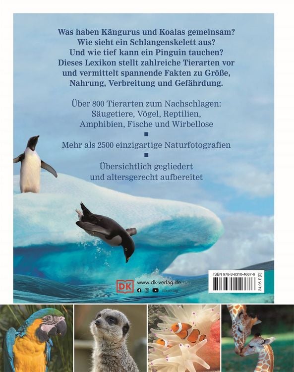 Produktbild: Wissen für clevere Kids. Tiere für clevere Kids