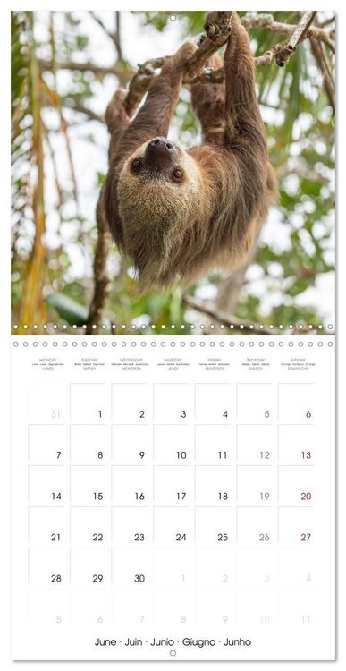 Produktbild: Costa Rica wild and peaceful (Wall Calendar 2027 12 &times; 12 Inch) CALVENDO 12 Month Wall Calendar