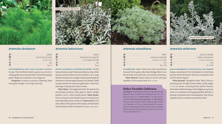 Produktbild: Perennials for the Midwest
