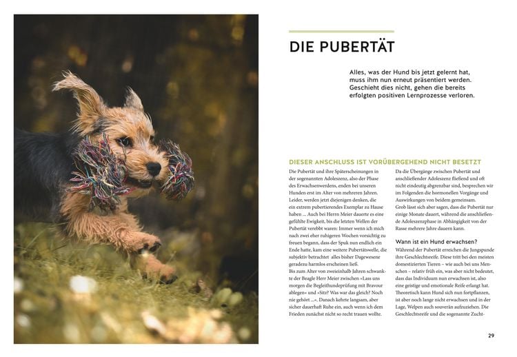 Produktbild: Wenn der Welpe zum halbstarken Hund wird