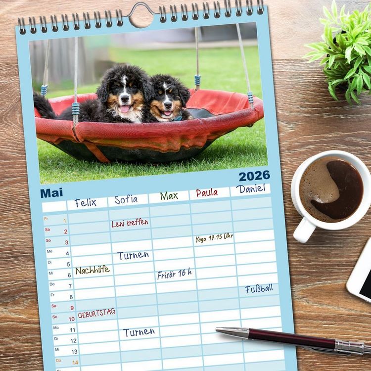 Produktbild: Familienplaner 2026 - Berner Sennenhunde - Faszinierende Herzensbrecher mit 5 Spalten (Wandkalender, 21 x 45 cm) CALVENDO