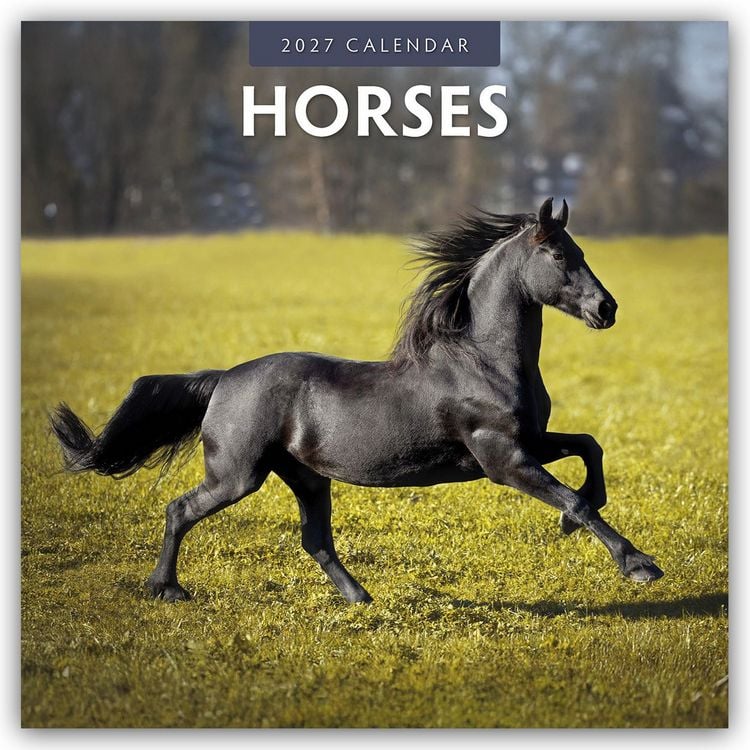 Produktbild: Horses &ndash; Pferde 2027 &ndash; 16-Monatskalender
