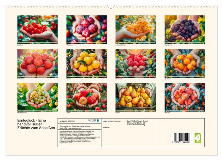 Produktbild: Erntegl&uuml;ck - Eine handvoll s&uuml;&szlig;er Fr&uuml;chte zum Anbei&szlig;en (hochwertiger Premium Wandkalender 2026 DIN A2 quer), Kunstdruck in Hochglanz