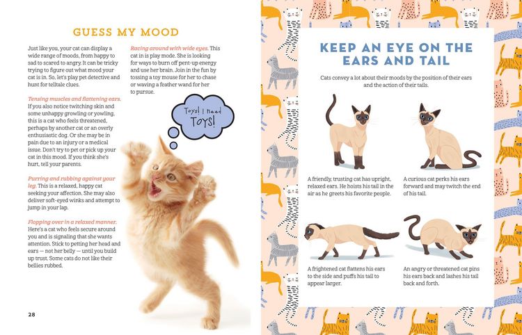 Produktbild: A Kid's Guide to Cats