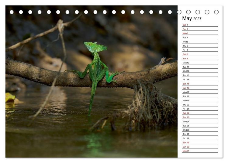 Produktbild: Feel the Wild &ndash; Costa Rica (Desk Calendar 2027 DIN A5 landscape), CALVENDO 12 Month DeskCalendar