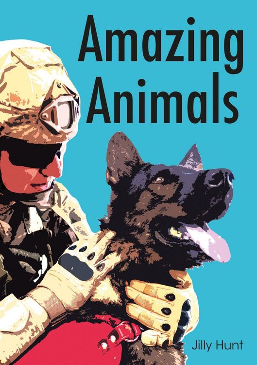 Produktbild: Set 11 - Amazing Animals