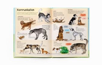 Produktbild: Das Hunde-Buch