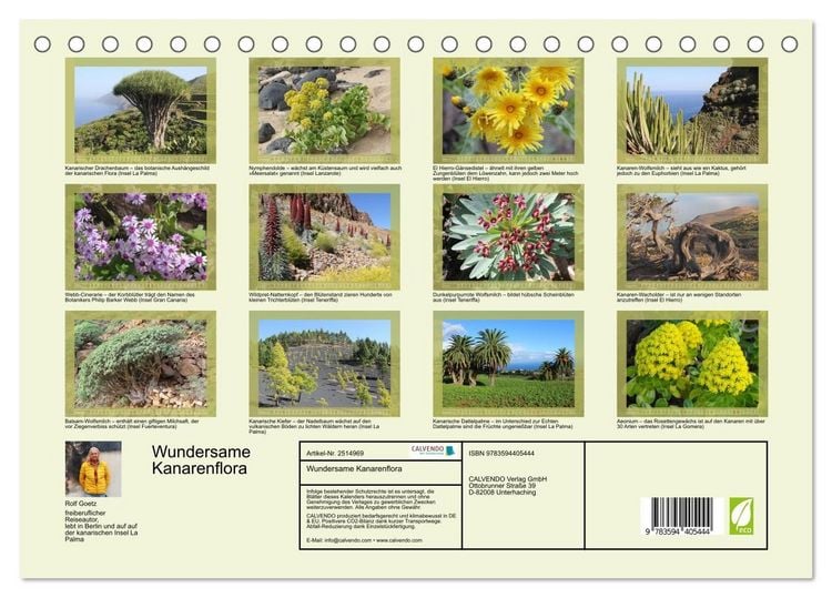 Produktbild: Wundersame Kanarenflora (Tischkalender 2027 DIN A5 quer), CALVENDO Monatskalender