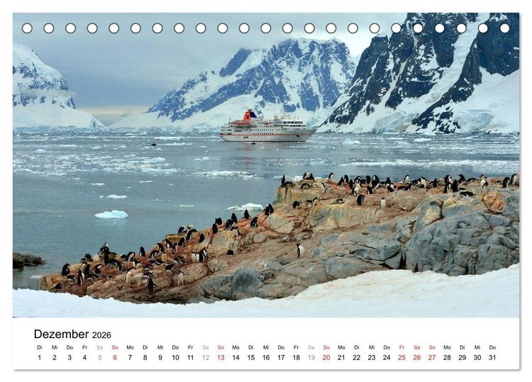 Produktbild: Im Reich der Pinguine (Tischkalender 2026 DIN A5 quer), CALVENDO Monatskalender