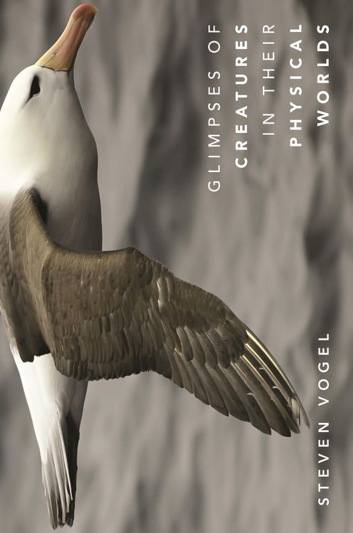 Produktbild: Glimpses of Creatures in Their Physical Worlds